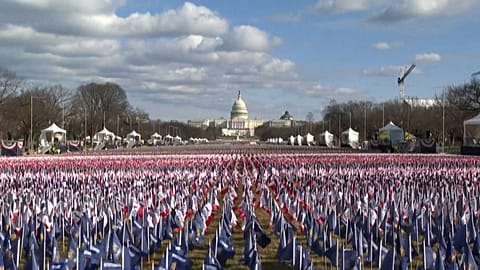 Thousands of US flags in the ground, US Capitol seen in the distance.