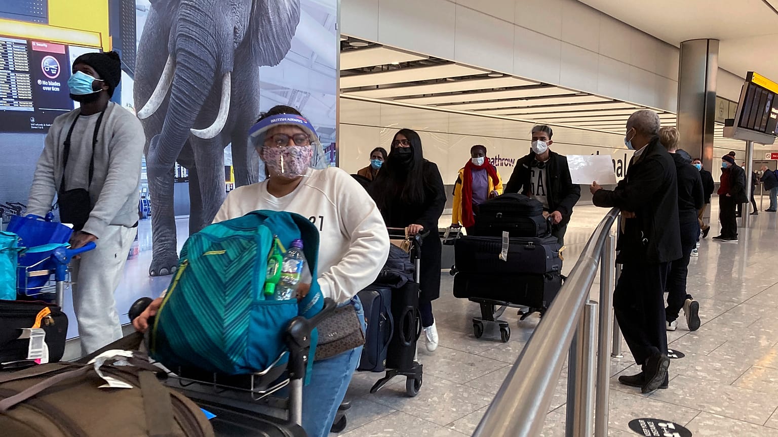 EU TRAVEL VIRUS