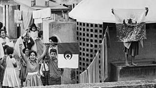 1 نوفمبر 1961، على سطح أحد المنازل في الجزائر العاصمة، شبان يلوحون بأعلام الجزائر احتفالاً بعيد الاستقلال الجزائري.
