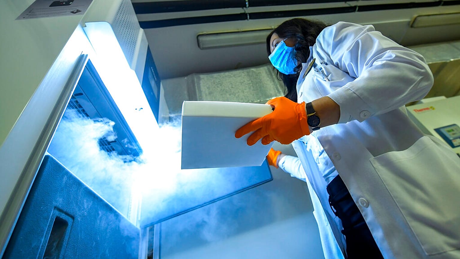 Vaccines are put into a refrigerator by pharmacist Krisztina Biro in the Clinical Pharmacy of the University of Debrecen in Debrecen, 26th December 2020