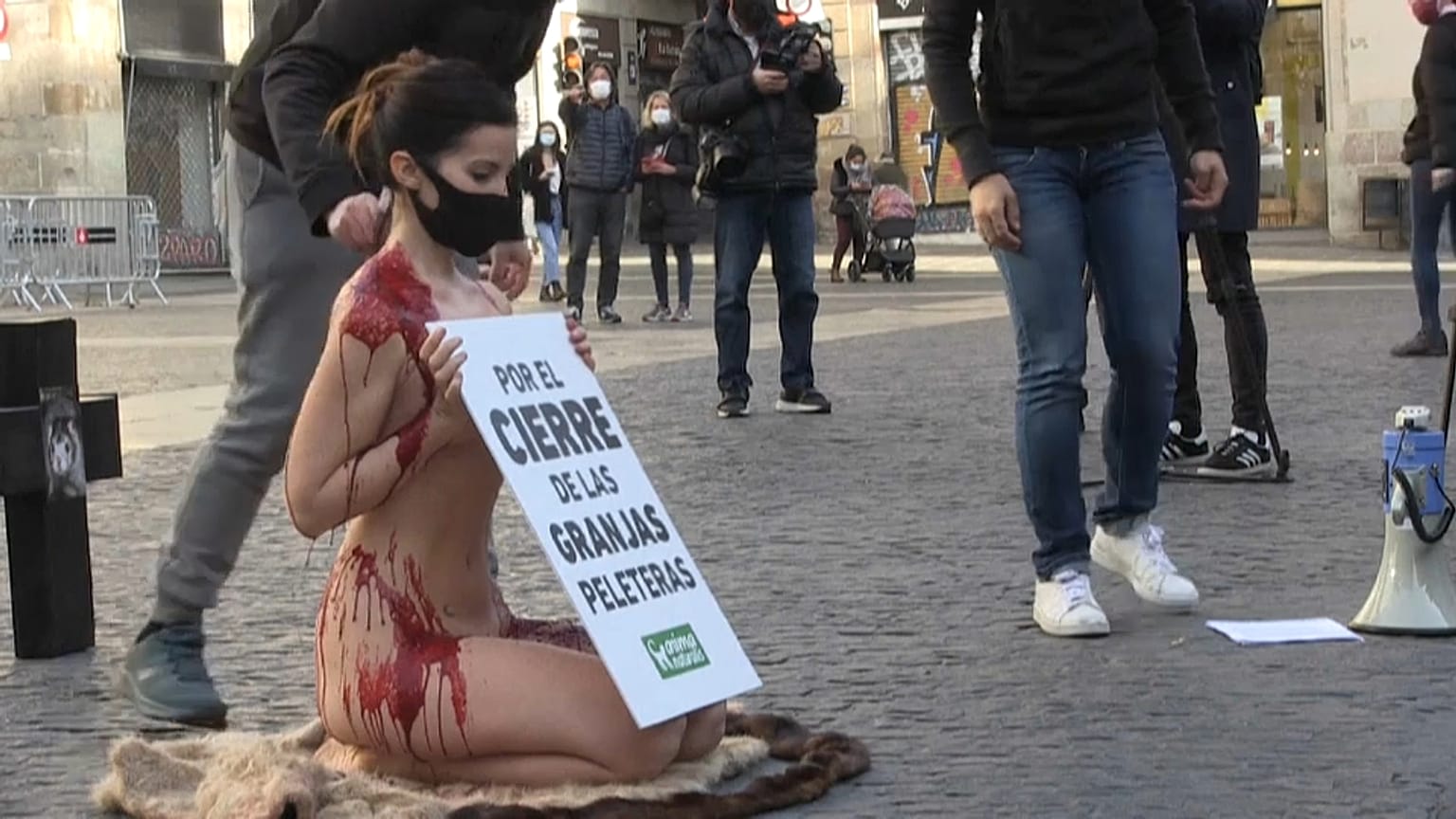 جاسمين مورينو تحتج عارية على صناعة الفراء في برشلونة