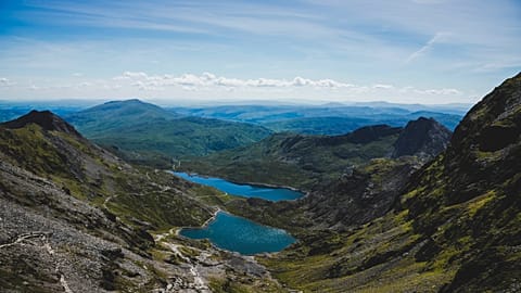 People have been finding solace in nature for the past year