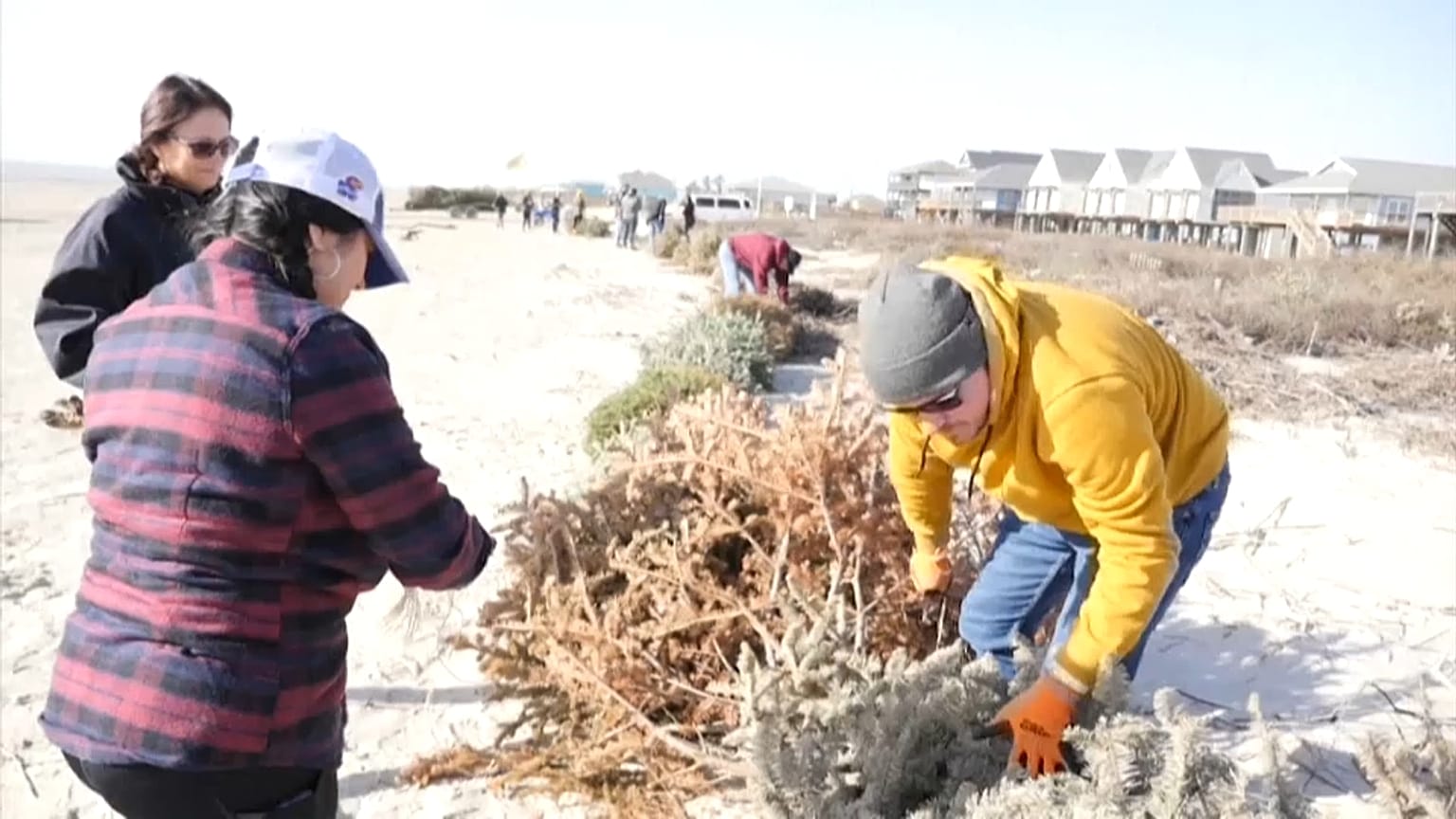 Voluntarios construyendo dunas en Surfside Beach, Texas