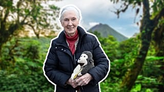 The Jane Goodall Institute stopped publishing photos of the legendary primatologist with monkeys last year, issuing similar guidance to the IUCN.