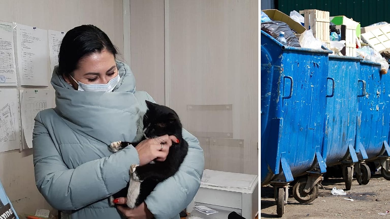 This cat had been rescued from a rubbish sorting facility in December, 2020