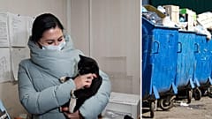 This cat had been rescued from a rubbish sorting facility in December, 2020