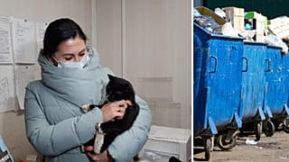 This cat had been rescued from a rubbish sorting facility in December, 2020