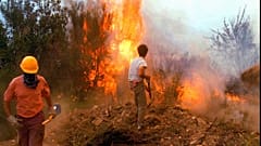 Argentina forest fire (file photo)