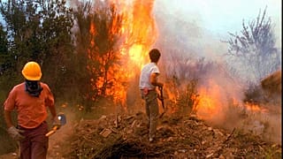 Argentina forest fire (file photo)
