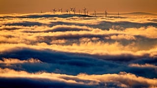 Cambiamento climatico, per due persone su tre è "un'emergenza globale"