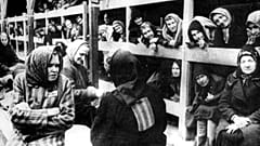 عکس در سال‌های جنگ جهانی دوم و از زمان رسیدن زنان و کودکان به اردوگاه آشویتس گرفته شده است.