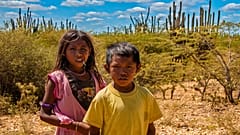 Climate change disproportionately affects Indigenous people