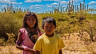 Climate change disproportionately affects Indigenous people