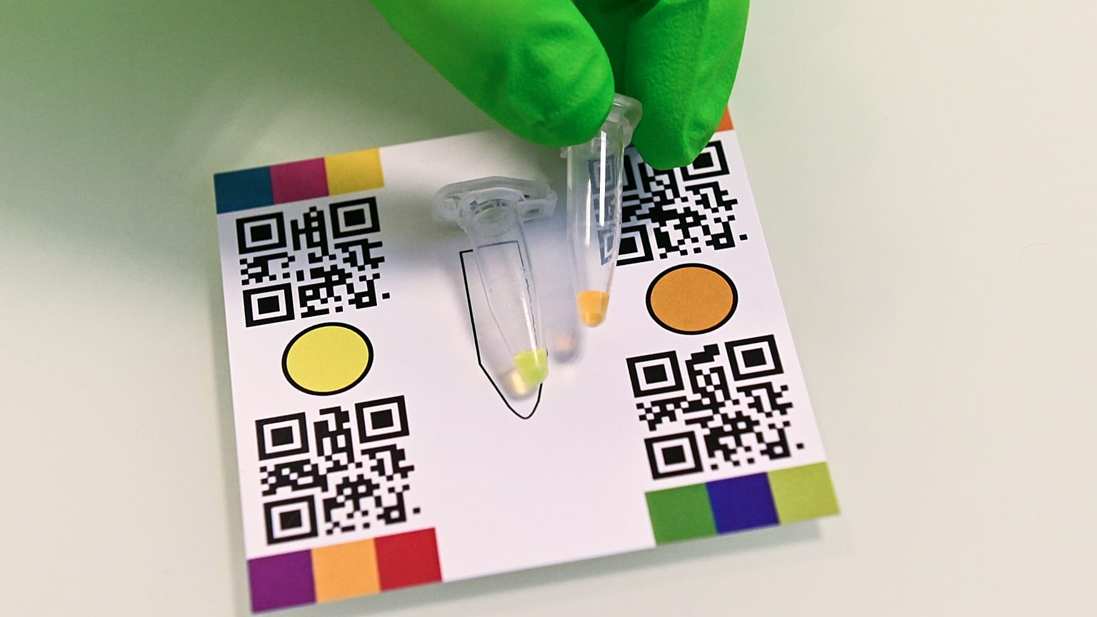 Le test salivaire "EasyCov" donne un résultat en 40 minutes