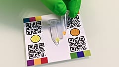 Le test salivaire "EasyCov" donne un résultat en 40 minutes