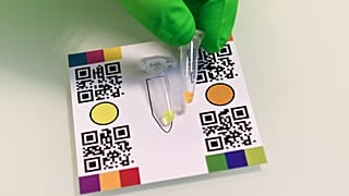 Le test salivaire "EasyCov" donne un résultat en 40 minutes