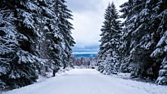 Harz mountains, northern Germany