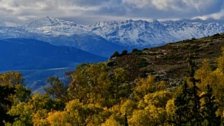 Ο ψηλορείτης