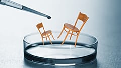 Wooden furniture could theoretically be grown fully formed without the need for screws or glue.