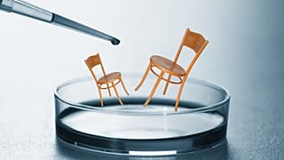 Wooden furniture could theoretically be grown fully formed without the need for screws or glue.