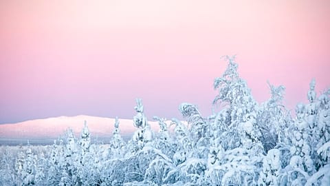 Snow covered trees are seen in Kittila, Finnish Lapland, Wednesday, Jan. 13, 2021.