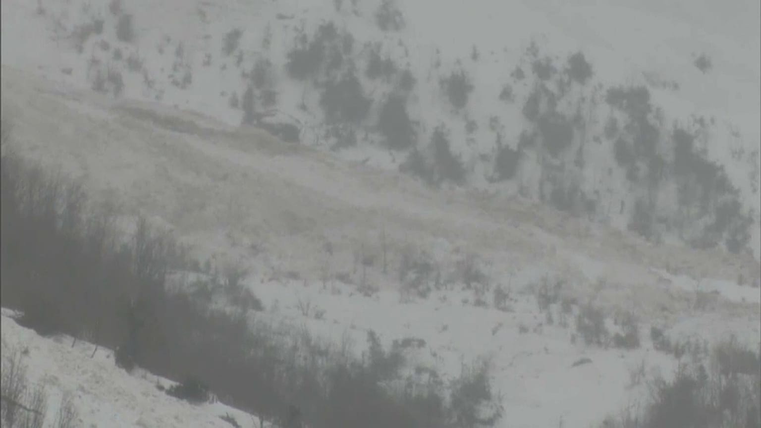 Die Lawine verschonte den Skiort Les Diablerets, vernichtete aber große Waldgebiete
