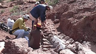 Excavação na Argentina