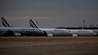Air France and Skyteam planes are parked at Roissy Airport outside Paris.