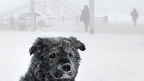 Oïmiakon, le village le plus froid du monde