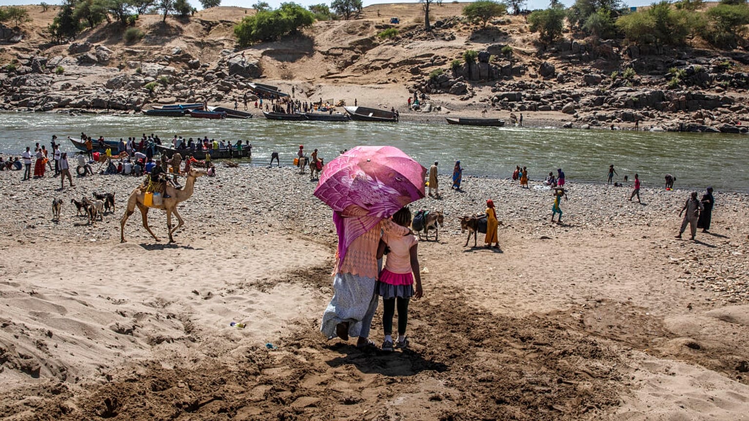 Tigray