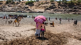 Tigray