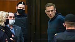 In this handout photo provided by Moscow City Court Russian opposition leader Alexei Navalny