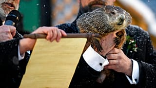 Un momento de la lectura del veredicto de Phil la marmota 