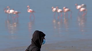 Virus Outbreak Cyprus