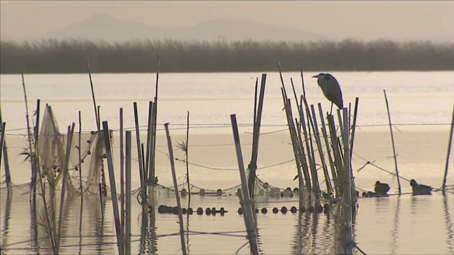 Albufera de Valencia