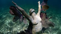 The sculptures sit on the seabed just not far from the shore.
