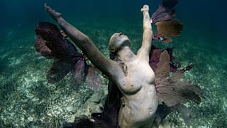 The sculptures sit on the seabed just not far from the shore.