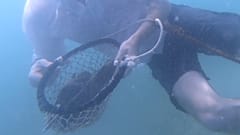 Perlentauchen in Dubai - Schätze, Tradition und Glück