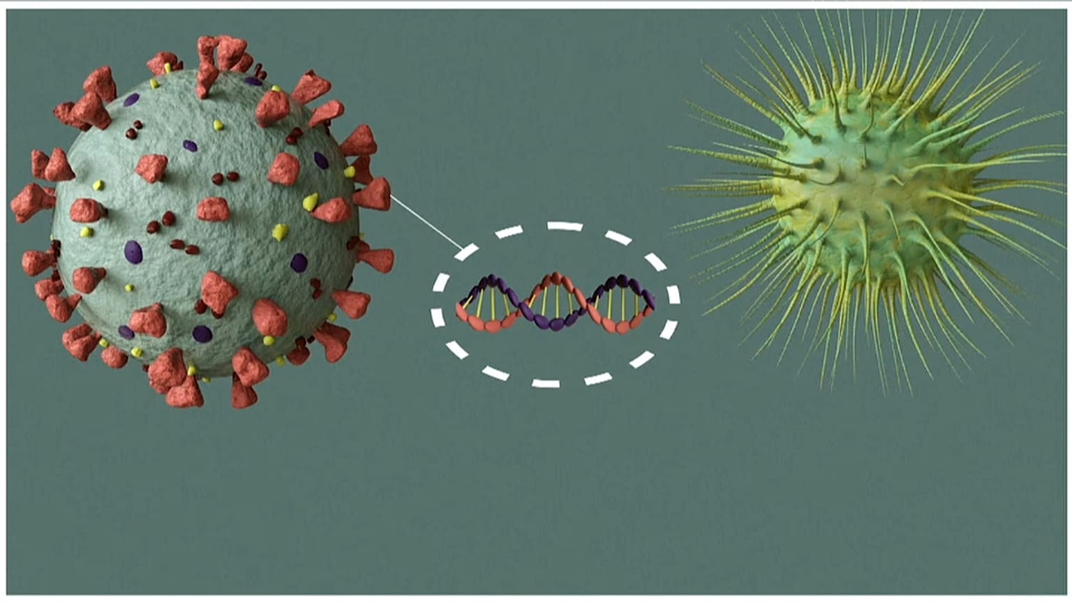 Animation showing coronavirus DNA