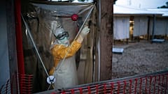 Ebola virüsü