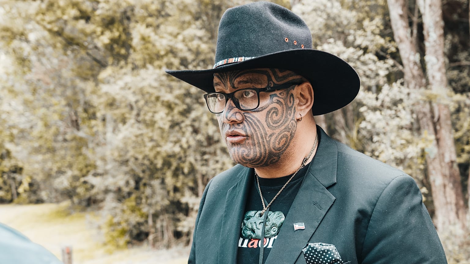 Rawiri Waititi in a photo supplied by the Maori Party.