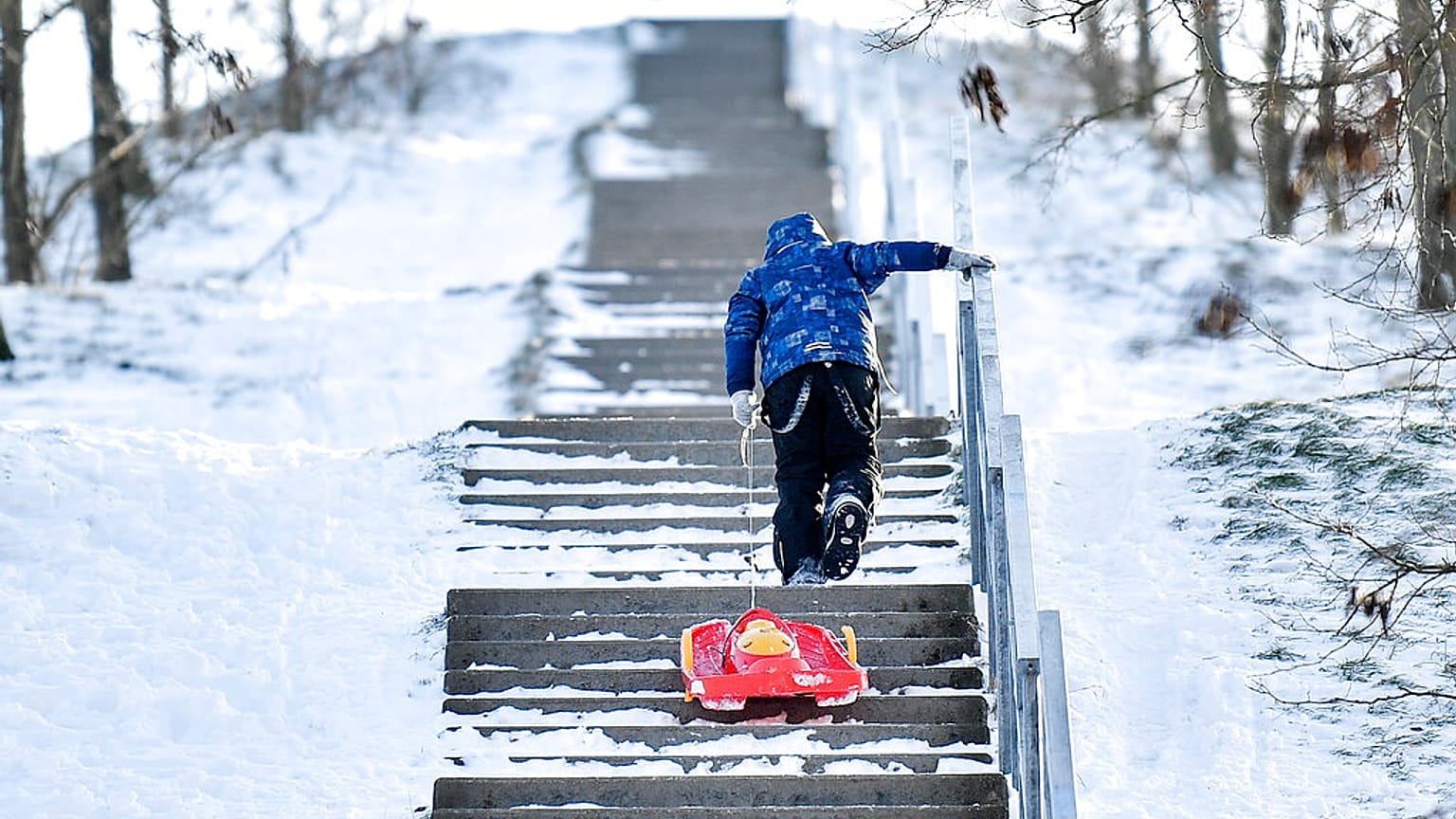Mit dem Schlitten im Schnee von Gelsenkirchen