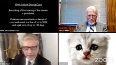 "Mi asistente está intentando quitar el filtro. Esoy listo, estoy aquí en directo, no soy un gato". Un gran momento de las videollamadas