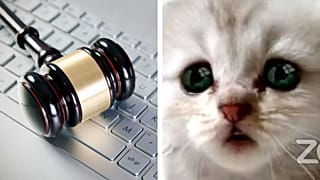 عکس از ویدئوی زوم