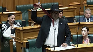 New Zealand's Maori party Rawiri Waititi 
