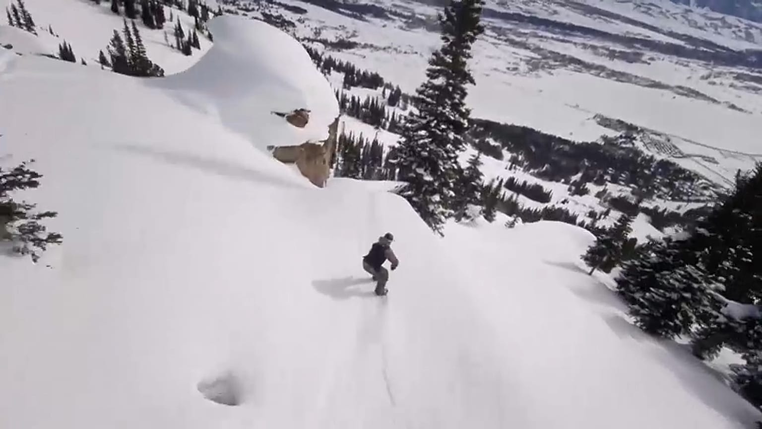 Natural Selection Tour at Jackson Hole