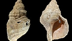 The instrument is thought to be 18,000 years old