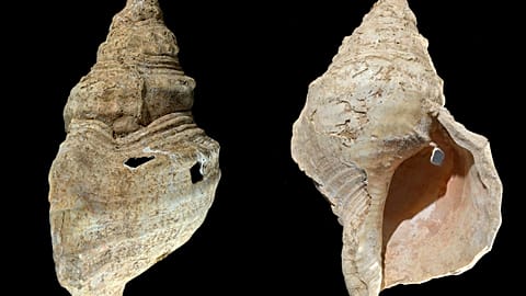 The instrument is thought to be 18,000 years old