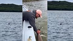 John Taylor and his family spotted a kangaroo in the middle of a lake in Western Australia