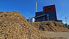 Scientists are asking governments around the world to stop using wood as a "renewable" source of fuel. 